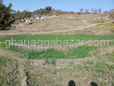Land on Sale at Jhaukhel